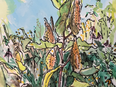 Watercolor & Ink Greeting Cards